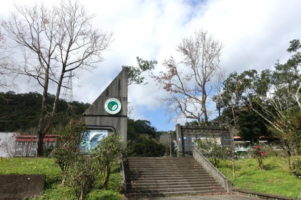 觀音台 水柳腳登山步道3085141