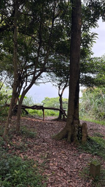 雙石縱走 O環3044900