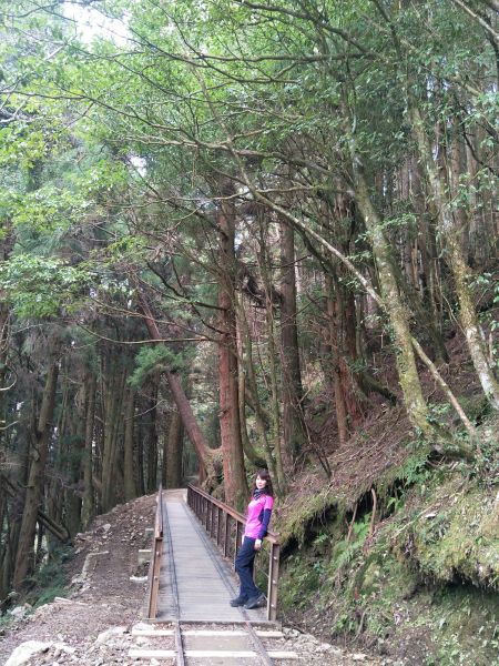 2018.03.17 郡大山麟趾山特富野290684