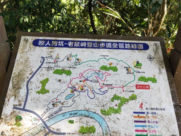 小百岳(43)-三汀山-20200123~【2020全家總動員~28分之03】1716067
