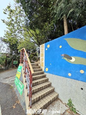 【嘉義梅山】雲嘉五連峰縱走3022287