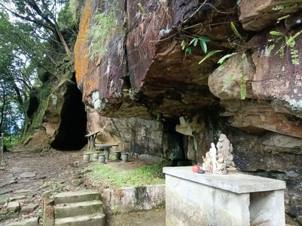 汐止區大尖山櫻花+秀峰瀑布O型3009369