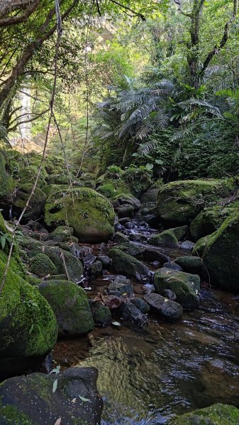 柴寮古道、中坑古道2814664