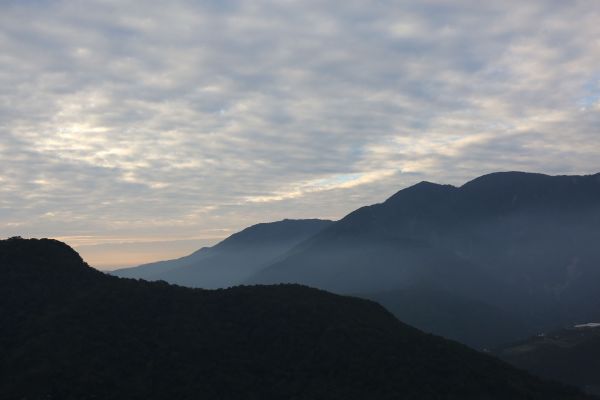 南投｜高峰山 有機段木菇農場110093