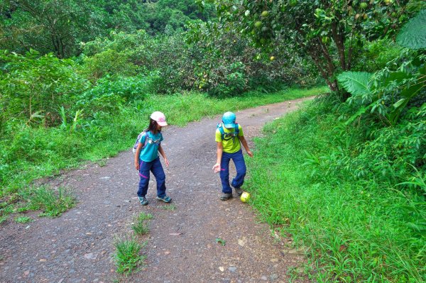 淡蘭古道中路之中坑、崩山坑古道O型685802
