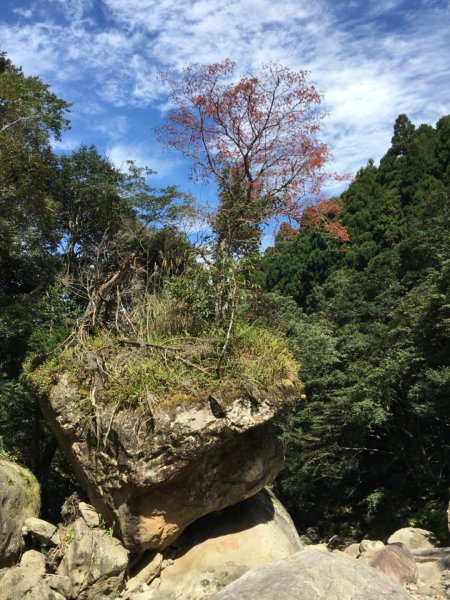 加里山登山步道之旅719236