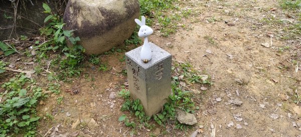 2026/05/24_大崎棟古道O型3066865