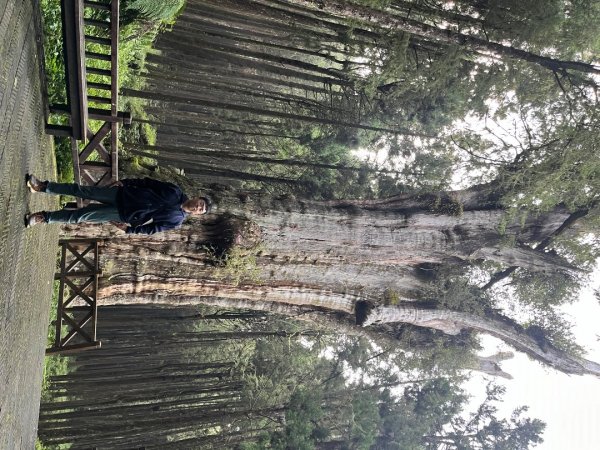 20240910～20240912_玉山行2855587