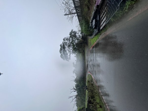 2024草嶺古道芒花季草嶺古道2644775