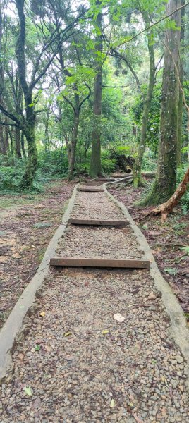 東眼山國家森林遊樂區2522651