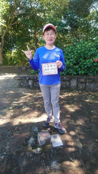 【臺北親山拓印趣】林蔭青蔥的大崙頭尾山738372