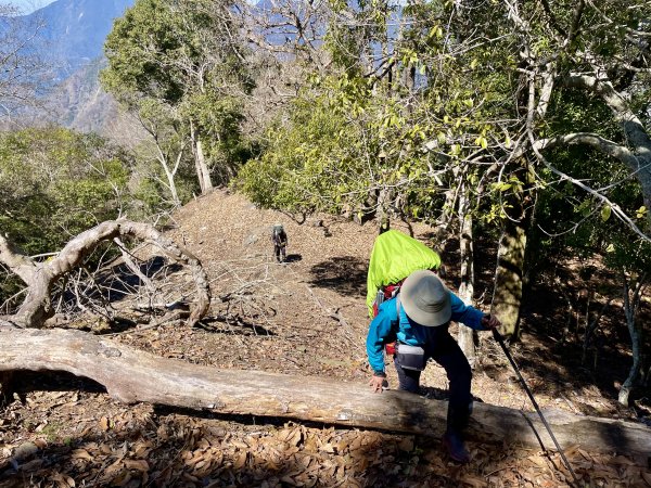 卡社山、拉夫朗山、加年端山 O型縱走 (二)1351288