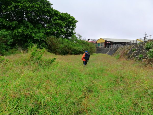 輕鬆好走但我們遇上微雨強風~小百岳鐵砧山918663