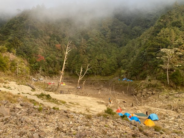 小關山林道上小關山1550027