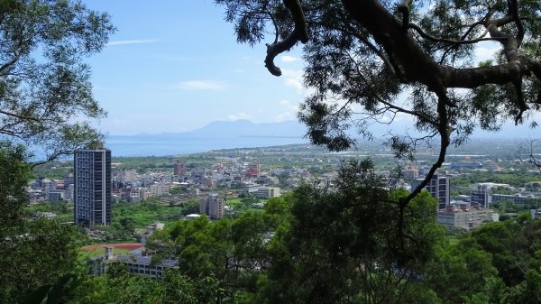 武營山登山步道2260036