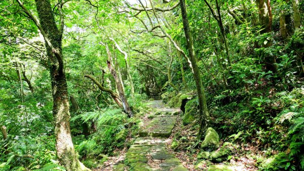 環七星山步道2837884