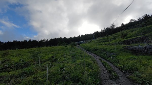 武法奈尾山1946748