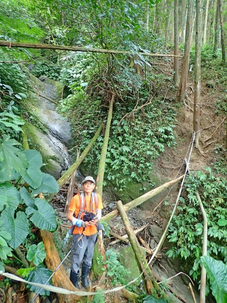 三角湖向天湖光天高山o走-專程來看海狸624701