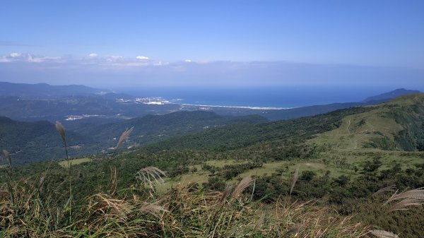 桃源谷+草嶺古道734268