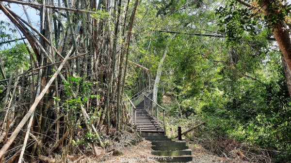 《南投》峰峰相連｜草屯九九峰森林步道O型202509062879242