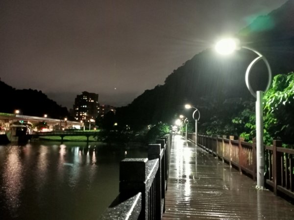 大湖公園《雨中夜行》1904697