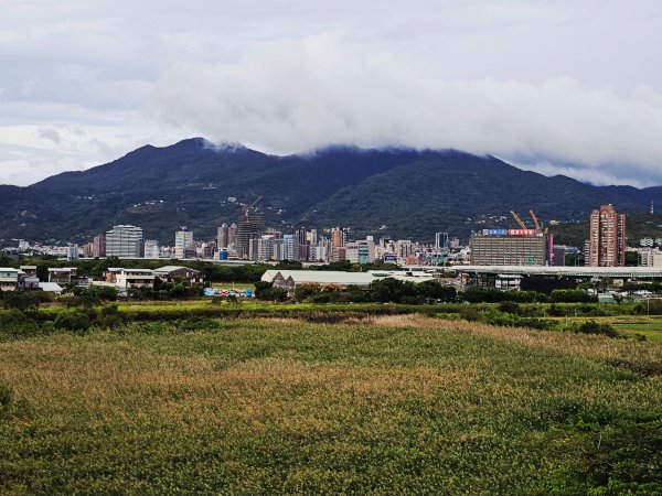 2025臺北大縱走第八段：捷運動物園站至捷運關渡站[河濱自行車道]2924046