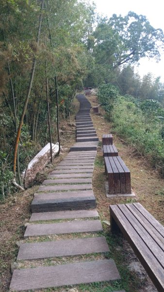 20241026程淨山林7-雲嘉抹茶山大尖二尖山JRJ淨山(雲嘉/登山/JRJ淨山)2637302