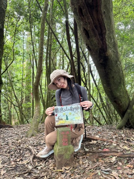 鳶嘴山-稍來山O型縱走(中級山 / 小百岳) 刺激攀岩。山嵐繚繞。傳神小象。杉樹林群。2583546