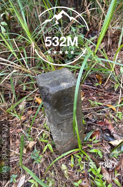 台北縱走第四段訪雙溪山 梅花山與西峰南峰西南峰 碧山3012793