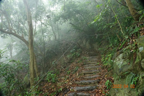 臺南 南化 王爺崙山1664022