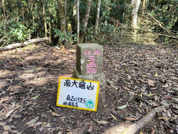 向天湖三山+ 南大龜山3012333