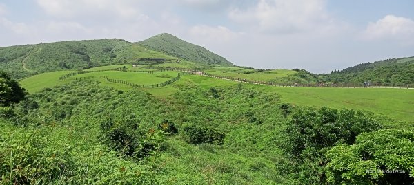 金包里大路(擎天崗至上磺溪停車場段)【走遍陽明山】2174790