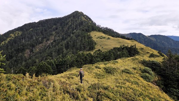 貼近山林來走個稍微不一樣風景的合歡山2989395