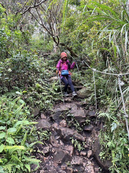 淡水搭渡輪上觀音山+占山O繞 搭公車接渡輪回淡水-202503182770644