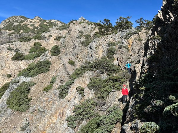 2024/09/27-0930帶2位神隊友76歲老爸、老朋友呂哥，玉山後四峰一遊但未竟。。。被山陀兒2607172