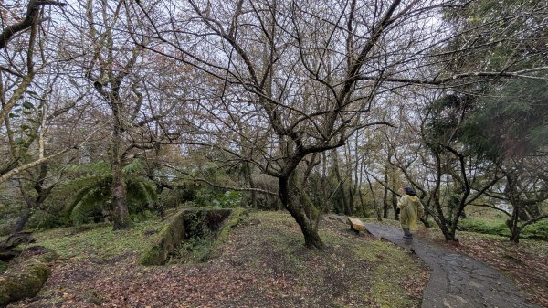 114.12.27尖山-40砲陣地之旅2971741