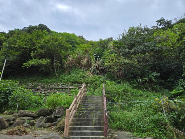 野柳里登山步道2620967