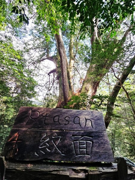 鎮西堡巨木群步道(B區)-(新竹)臺灣百大必訪步道3007835