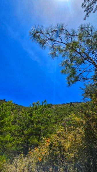 112.04.16 玉山前峰2123753