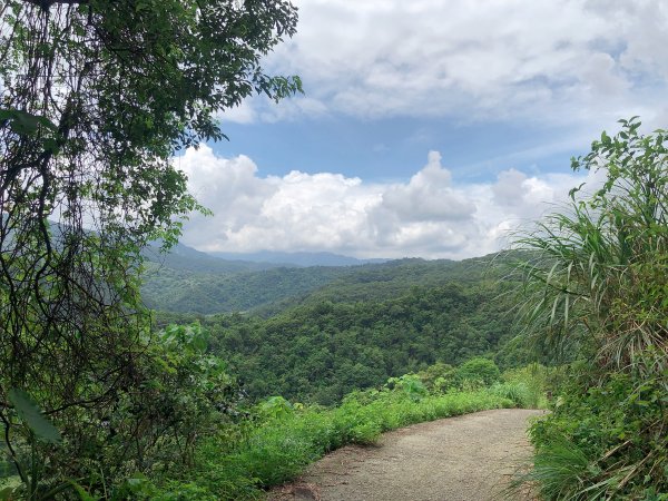 ~  中 山 茶 園 步 道  ~2580970