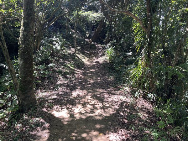 [微笑山線_第九段] 2025_0914 二格山系_天王峰2889556