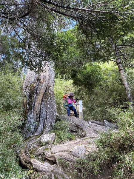 觀雲山莊經小完美谷上畢祿山O繞2917251