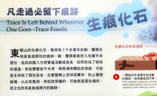 【中級山縱走】志繼山，東眼山，拉卡山，卡外山，東滿步道2742601