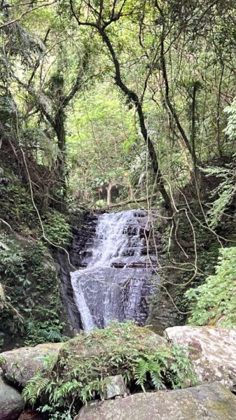 抹茶山、三角崙山、五峰旗瀑布2585816