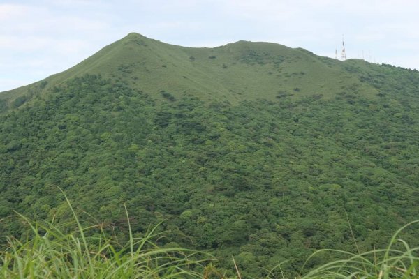 陽明山  菜公坑山 反經石   水車寮步道。林木蓊鬱  豐富的蕨類植披，絕佳避暑古道2174034