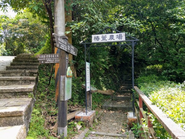 土庫岳(小百岳#14)下深坑北深路一段947469