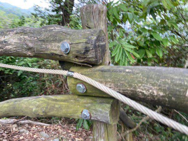 大坑2號原路來回2130468