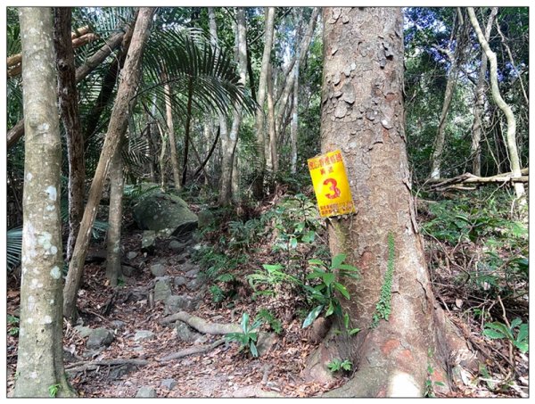 虎山、水雲三星之首 ( 苗栗、泰安 )2977385