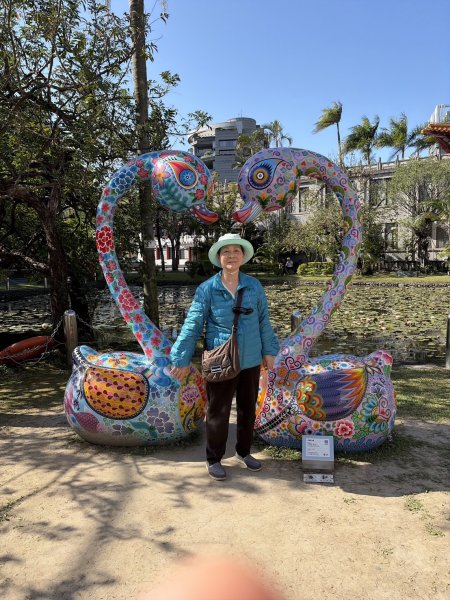 台北 植物園步道3019076