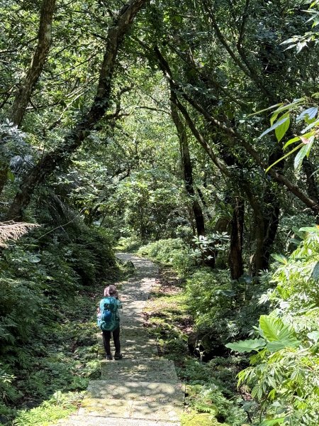 淡蘭古道 中路 全段 三日 2025/05/31~06/022810890